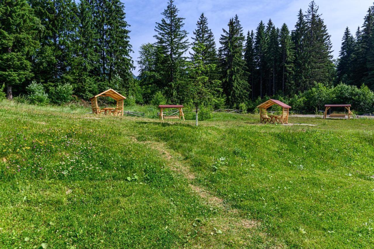 Fabulous Panorama Silver Mountain Apartments Пояна-Брашов Экстерьер фото