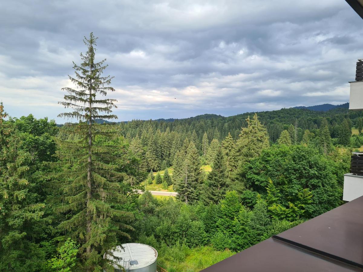 Fabulous Panorama Silver Mountain Apartments Пояна-Брашов Экстерьер фото